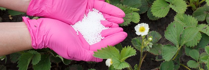 動植物油脂折光指數測定