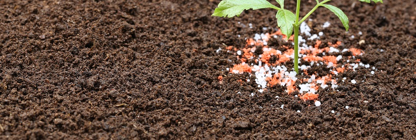 腐植酸生物有機(jī)肥檢測(cè)