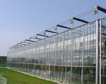 山東及濰坊地區連棟溫室大棚造價解析與農副產品生產應用