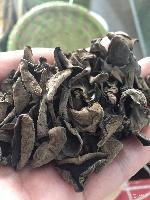 東北農副產品概覽 常見品類、價格趨勢與識別指南